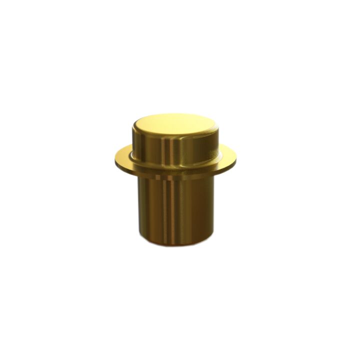 Insert Stopping Plug for Cable gland E204/E205 For Sealing ring Size C2 - Brass