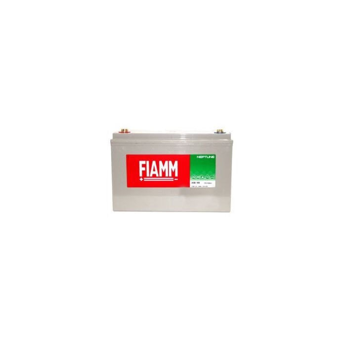 Fiamm AGM Battery maintenance-free 12V 100AH 329x172x221mm Terminal M6, type LSB100