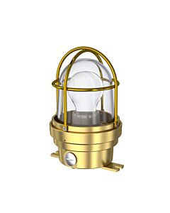 TEF 2438n Luminaire: Clear Globe, E27, 230VAC, IP56, Brass/Polyc