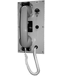 BATTERY PHONE MULTI-LINK DECK, W/T (IP55) FLUSH ODC-3782-1N